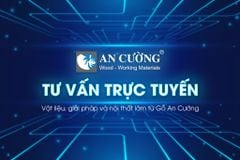 Sàn Xương Cá An Cường AC - 4035