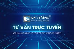Sàn Xương Cá An Cường AC - 4033