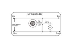 Công tắc cảm ứng chuyển động PIR lắp nổi trần XD3602