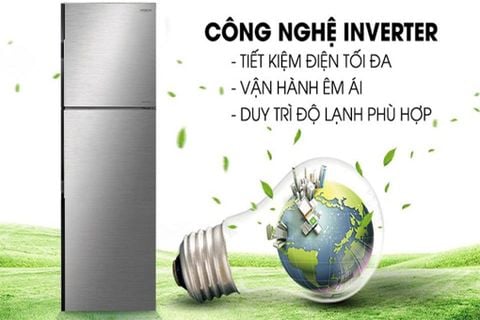 Tủ lạnh Hitachi Inverter 260 lít R-H310PGV7 BSL (2 cánh) - Chính Hãng