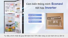 Tủ lạnh Panasonic Inverter 188 lít NR-BA229PKVN