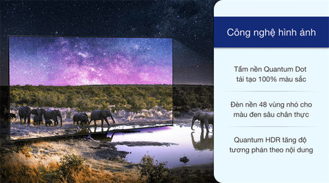 Smart Tivi Samsung QLED 4K 49 inch QA49Q80T | Model 2020