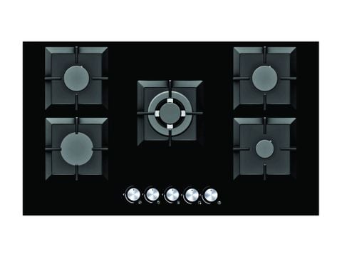 Bếp gas âm ngoại cỡ 5 lò Capri SGA 501M