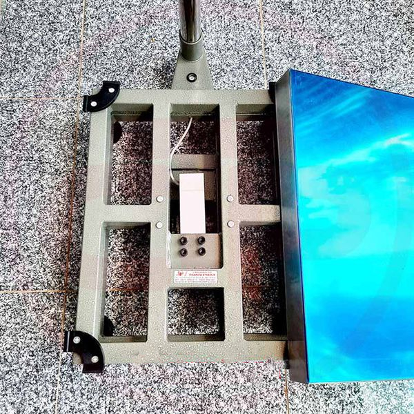 Khung đế chắc chắn bằng inox Cân thủy sản