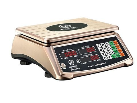 Cân điện tử Đại Thành ĐTS-30CN