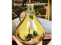 Đèn sưởi nhà tắm Makxim MK-HL825