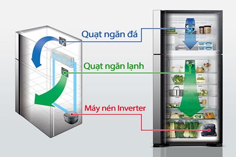 Tủ lạnh Hitachi Inverter 489 lít R-FG560PGV8X GBK (2 cánh) - Chính Hãng