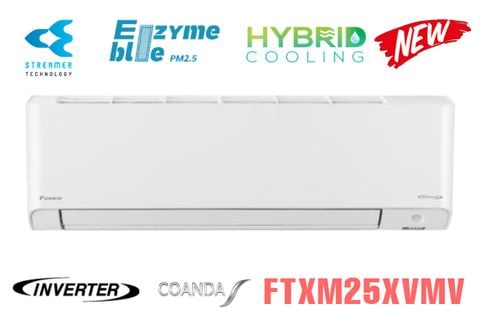 Điều hòa Daikin 2 chiều 9000BTU FTXM25XVMV
