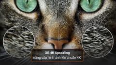 Google Tivi MiniLED Sony 4K 75 inch XR-75X95L [ 75X95L ]