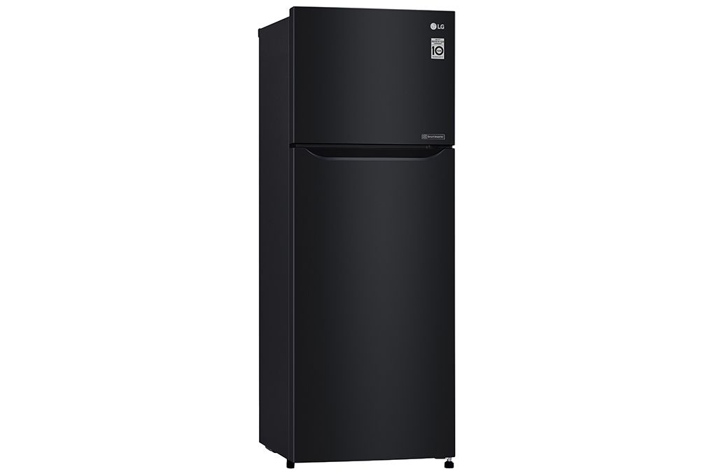 Tủ lạnh LG Inverter 209 lít GN-B222WB (2 Cánh)