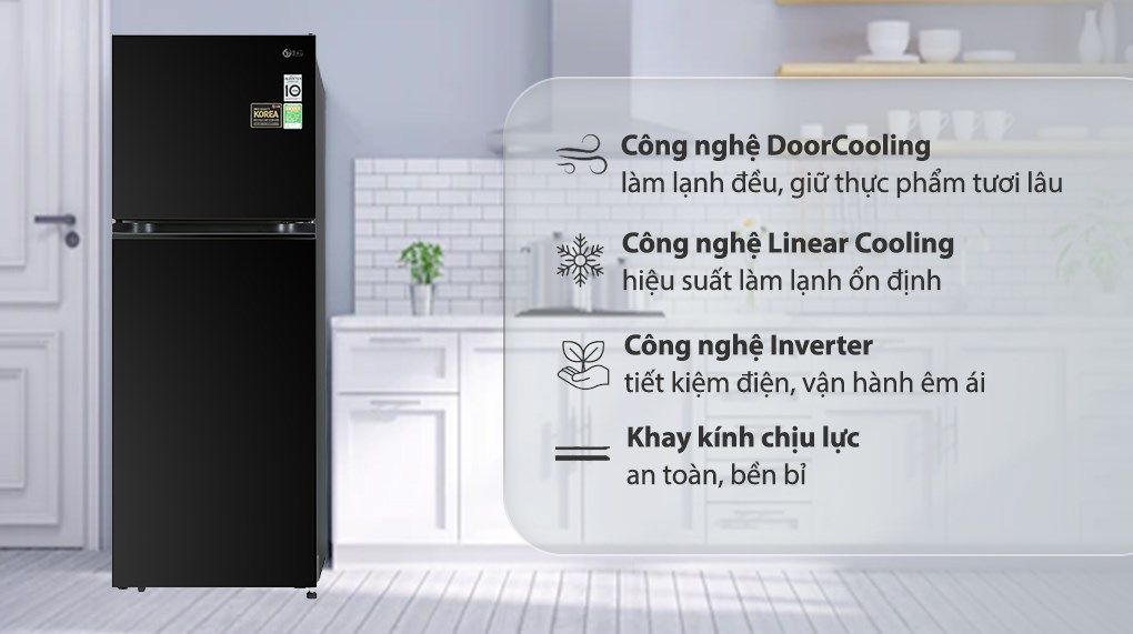 Tủ lạnh LG Inverter 315 lít GN-M312BL (2 cánh)