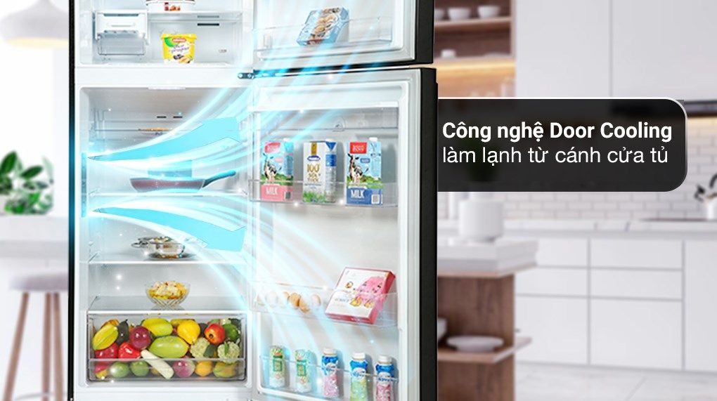 Tủ lạnh LG Inverter 374 lít GN-D372BL (2 cánh)