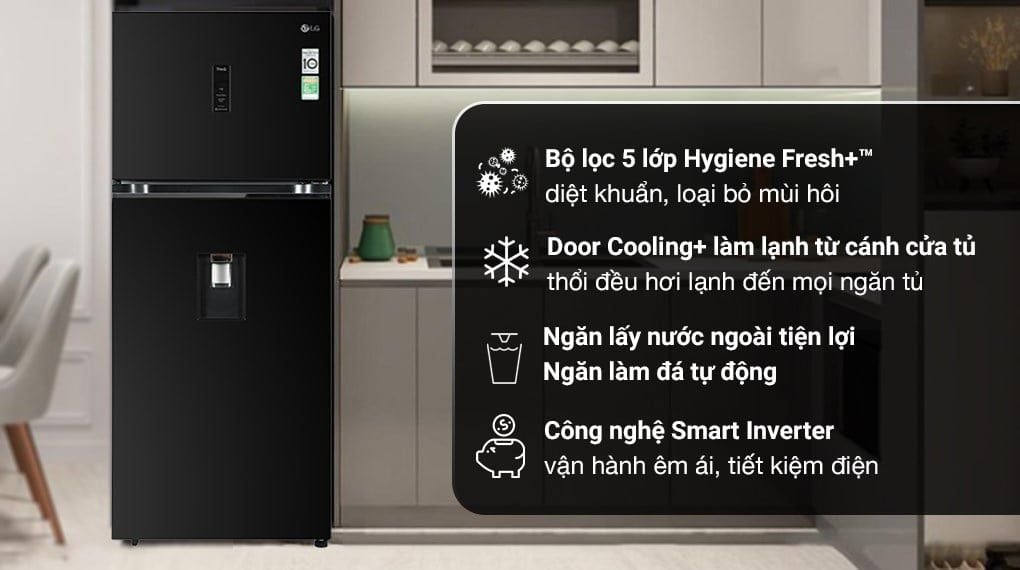 Tủ lạnh LG Inverter 374 lít GN-D372BLA (2 cánh)