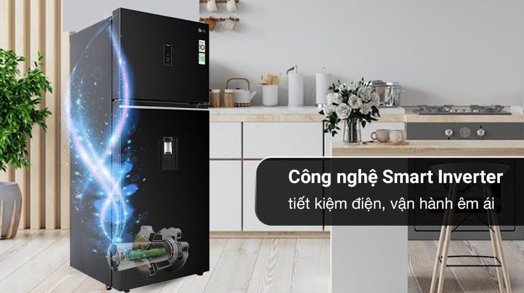 Tủ lạnh LG Inverter 374 lít GN-D372BLA (2 cánh)