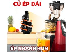 Máy ép chậm Hongxin RH312