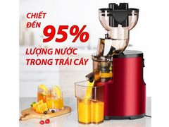 Máy ép chậm Hongxin RH312