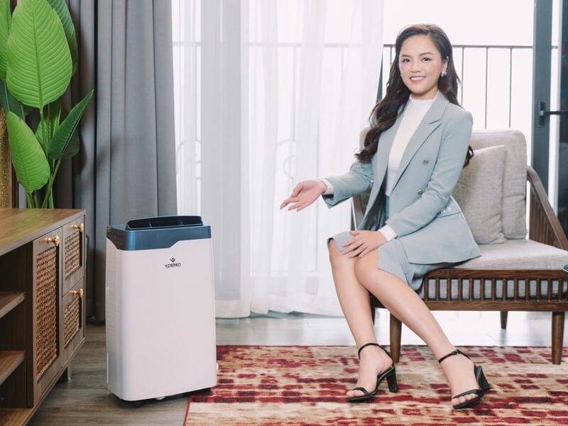 Review máy hút ẩm Kosmen KM-20N