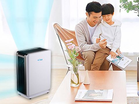 Máy lọc không khí và hút ẩm Airko AKR-25CAE