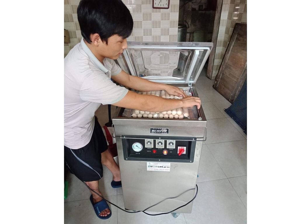 Máy hút chân không công nghiệp New Sun DZQ 500