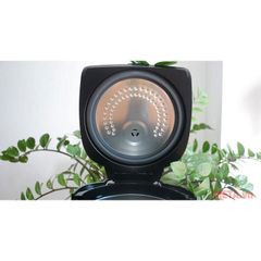 Máy làm tỏi đen nhiệt 4D ceramic Perfect PF-MC108