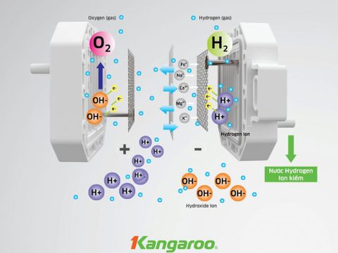 Máy lọc nước Kangaroo Hydrogen ion kiềm KG100EED