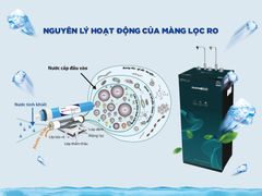 Máy lọc nước nóng lạnh nguội Panworld PW-9204