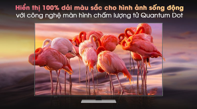 Smart Tivi Neo QLED 4K 85 inch Samsung QA85QN85A - QLED