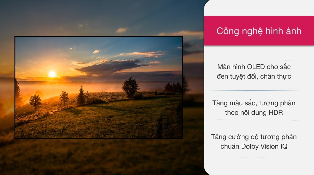 Smart Tivi LG OLED 4K 55 inch OLED55A1PTA [ 55A1 ] - Chính Hãng