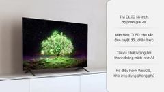 Smart Tivi LG OLED 4K 55 inch OLED55A1PTA [ 55A1 ] - Chính Hãng