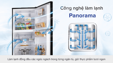Tủ lạnh Panasonic Inverter 234 lít NR-BL263PAVN (2 Cánh)