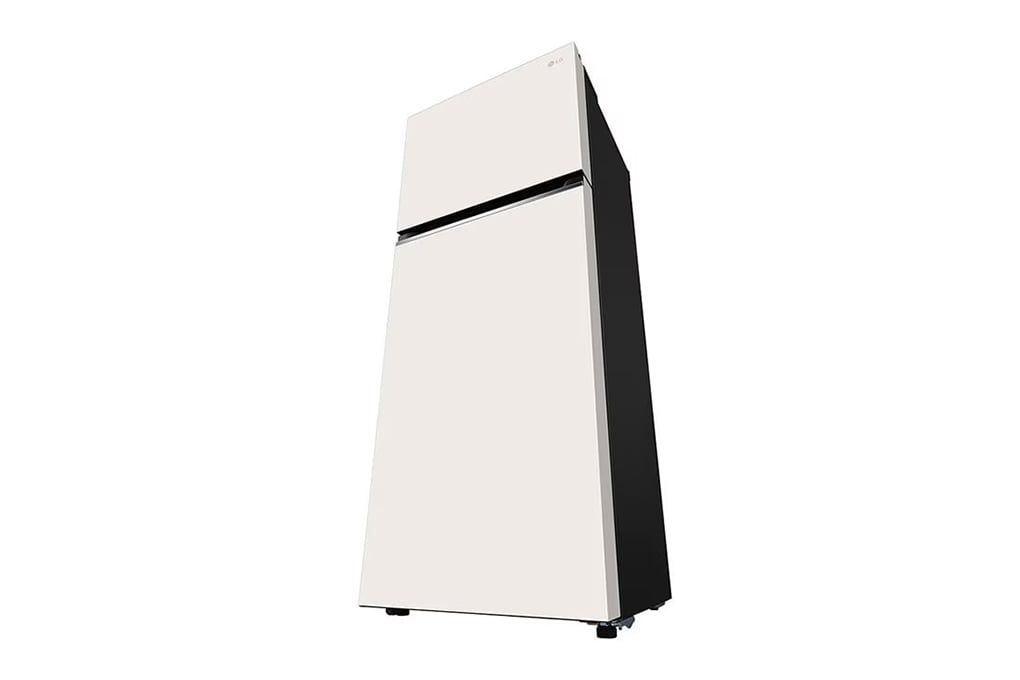 Tủ lạnh LG Inverter 395 lít GN-B392BG (2 cánh) - Chính Hãng