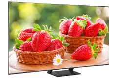 Smart Tivi Samsung QLED 4K 65 inch QA65Q65A [ 65Q65A ] - Chính Hãng