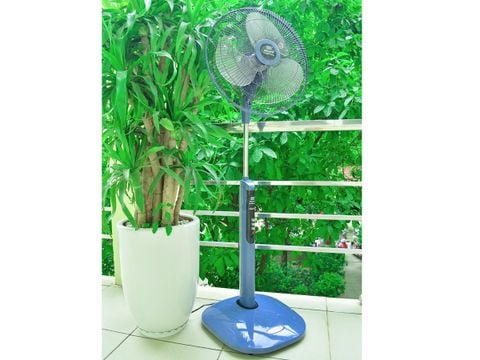 Quạt cây Điện Cơ QĐC91 (Không điều khiển)