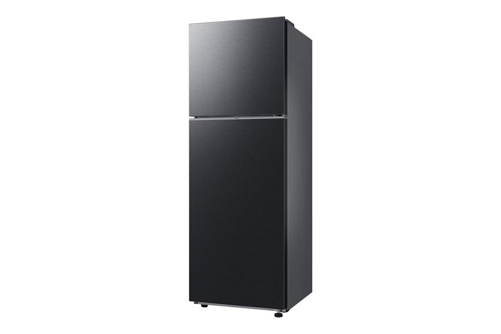 Tủ lạnh Samsung Inverter 305 lít RT31CG5424B1/SV (2 cánh)