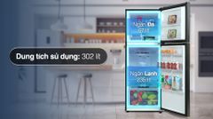 Tủ lạnh Samsung Inverter 302 lít RT29K503JB1/SV (2 cánh)