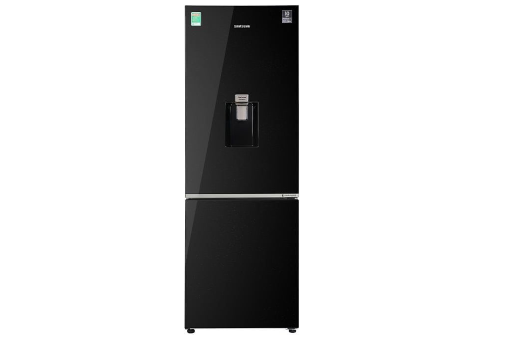 Tủ lạnh Samsung Inverter 307 lít RB30N4190BU/SV (2 cánh)