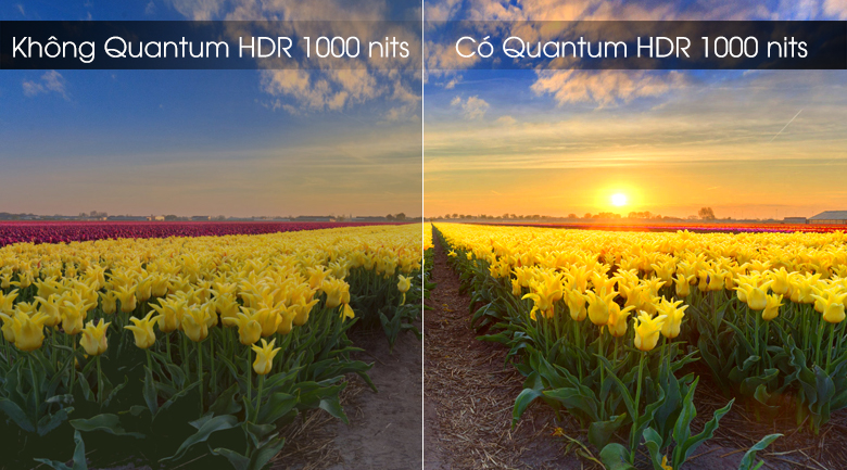Smart Tivi QLED Samsung 4K 75 inch QA75Q75R - Quantum HDR 1000 nits