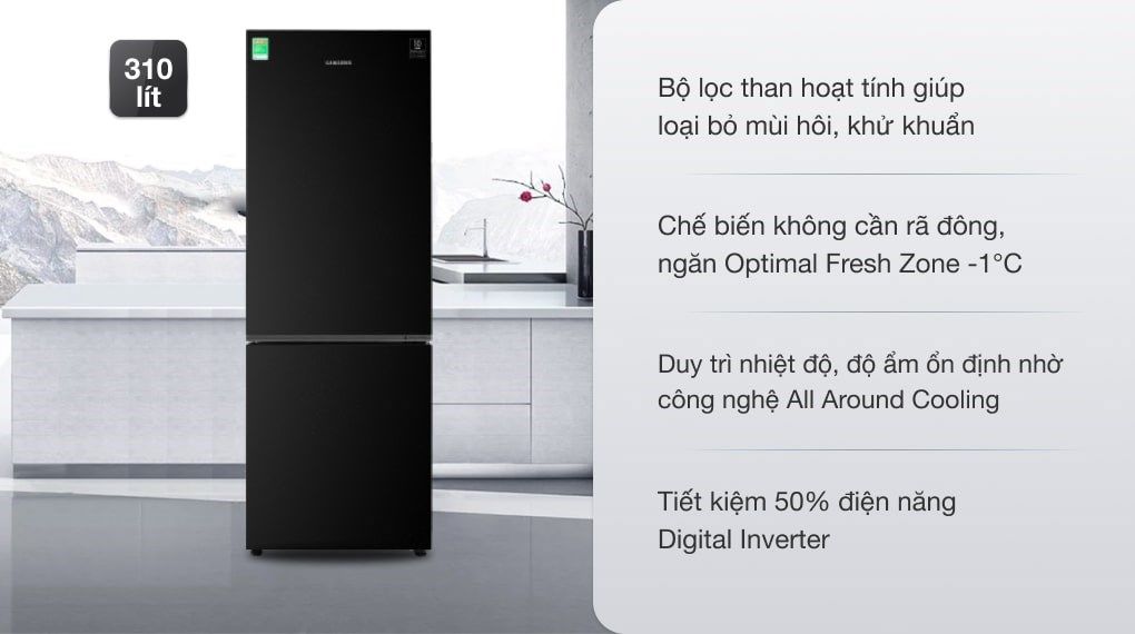 Tủ lạnh Samsung Inverter 310 lít RB30N4010BU/SV (2 cánh)