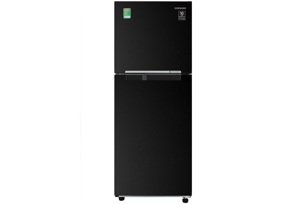 Tủ lạnh Samsung Inverter 208 lít RT20HAR8DBU/SV (2 cánh)