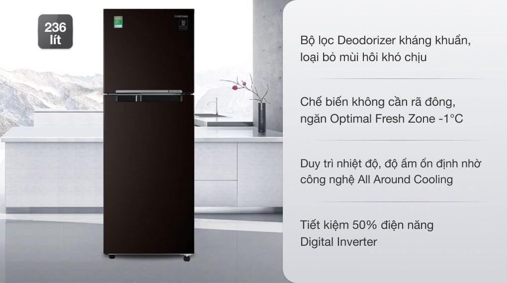 Tủ lạnh Samsung Inverter 236 lít RT22M4032BY/SV (2 cánh)