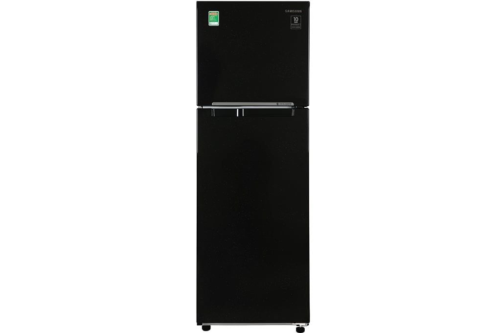 Tủ lạnh Samsung Inverter 256 lít RT25M4032BU/SV (2 cánh)