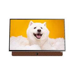 Google Tivi Coocaa  Full HD 24 inch xách tay 24LP6000G