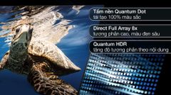 Smart Tivi Samsung QLED 4K 75 inch QA75Q80B [ 75Q80B ] - Chính Hãng