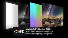 Smart Tivi LG OLED 4K 65 inch OLED65C3PSA [65C3]