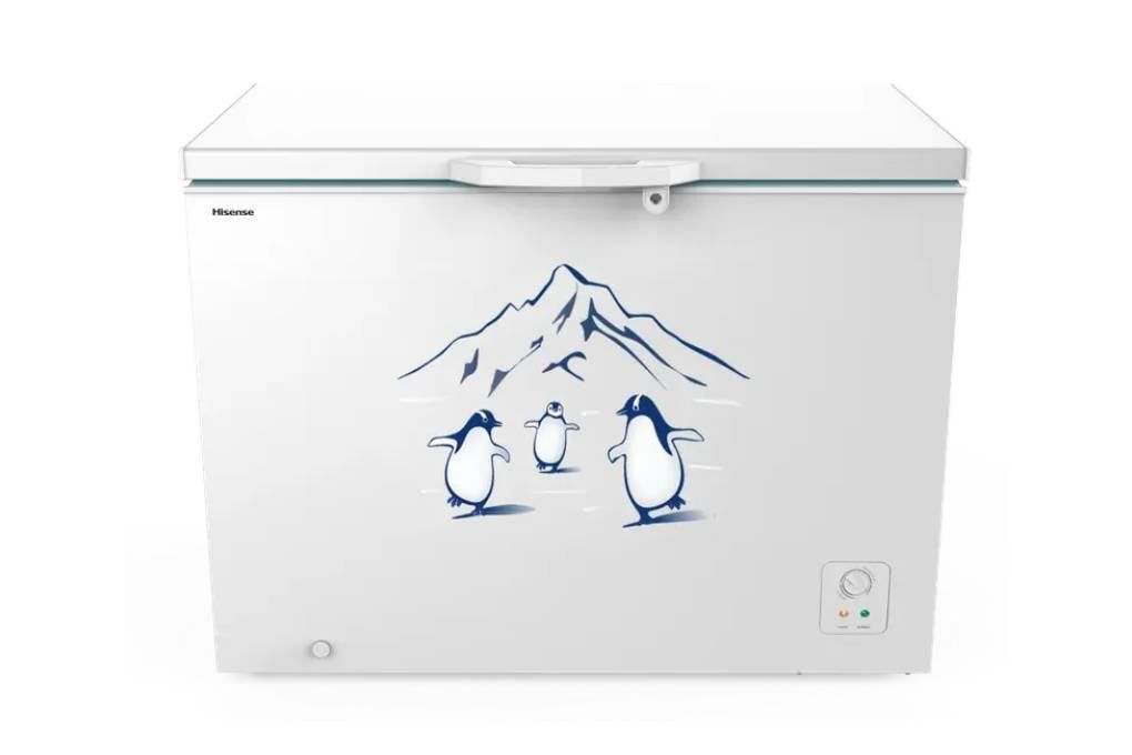 Tủ đông Hisense Inverter 300 Lít FC380D4EWC1