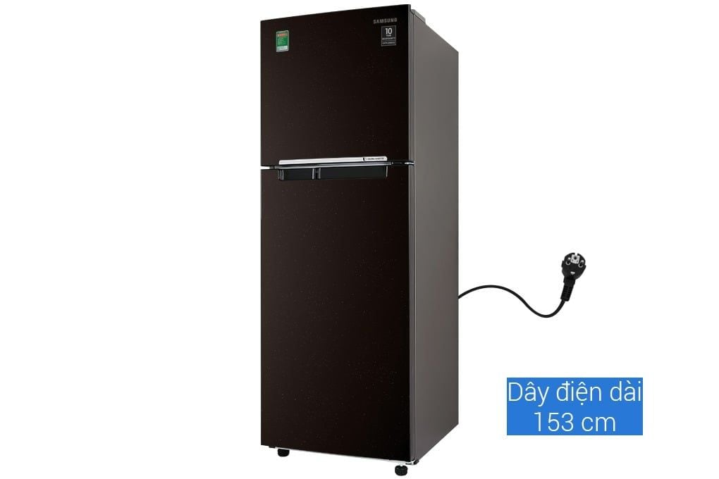 Tủ lạnh Samsung Inverter 236 lít RT22M4032BY/SV (2 cánh)