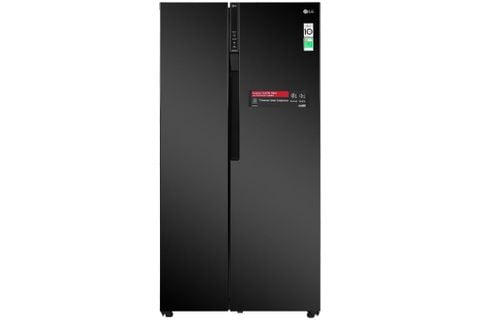 Tủ lạnh LG Inverter 613 lít GR-B247WB (2 Cánh)