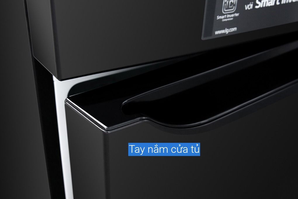 Tủ lạnh LG Inverter 255 lít GN-M255BL (2 Cánh)