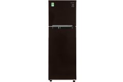 Tủ lạnh Samsung Inverter 256 lít RT25M4032BY/SV (2 Cánh)