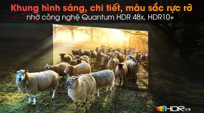 Tivi Neo QLED 8K Samsung QA65QN900A - Tối ưu độ tương phản, độ sáng, màu sắc, độ nét hình ảnh với công nghệ Quantum HDR 48x